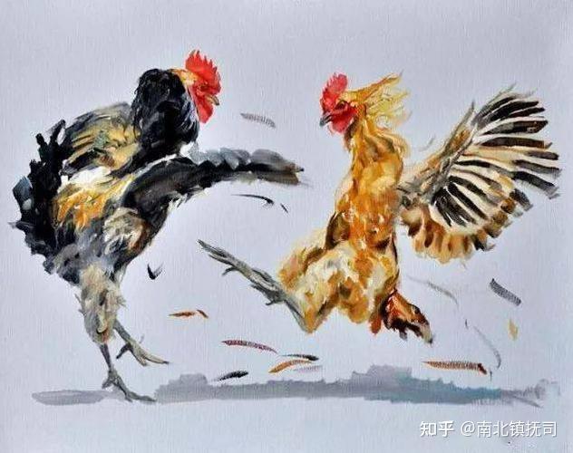 南宋地方民俗观察之血腥的斗鸡运动