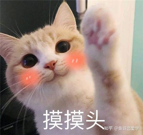 妹子说头疼怎么安慰聊天 有这套表情包就行啦