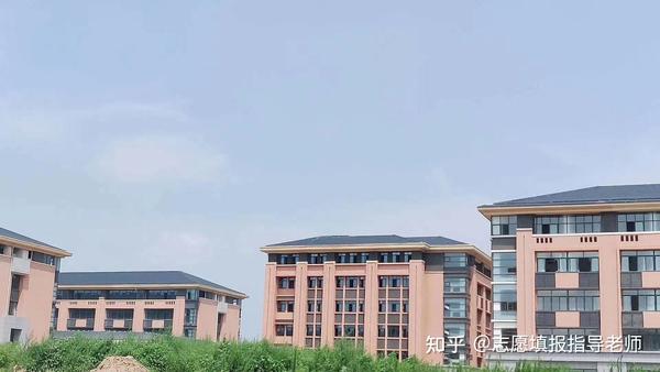 河南女子职业学院