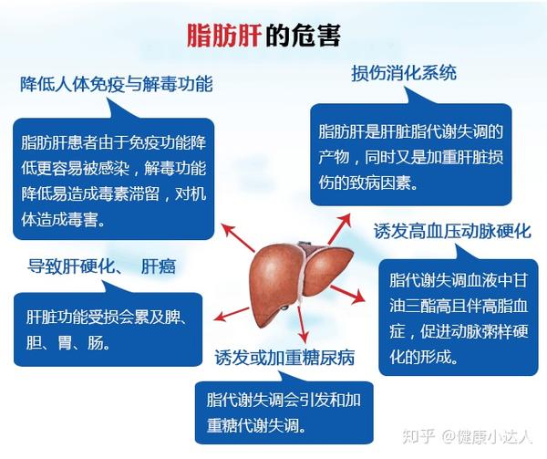 吃素也会得脂肪肝?那该如何是好?