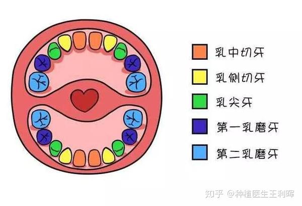 对孩子的牙齿多点关心!不然"受罪"的是孩子