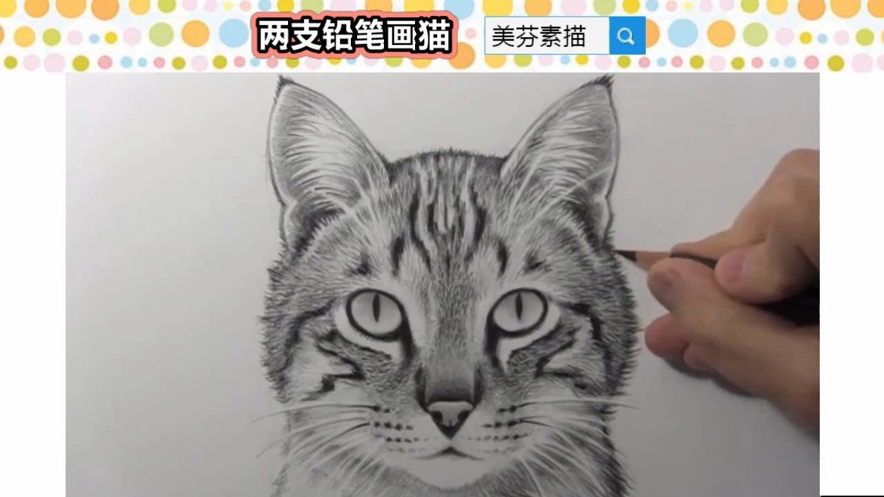 教你用素描铅笔画出毛茸茸可爱的小猫!创意素描画小动物!