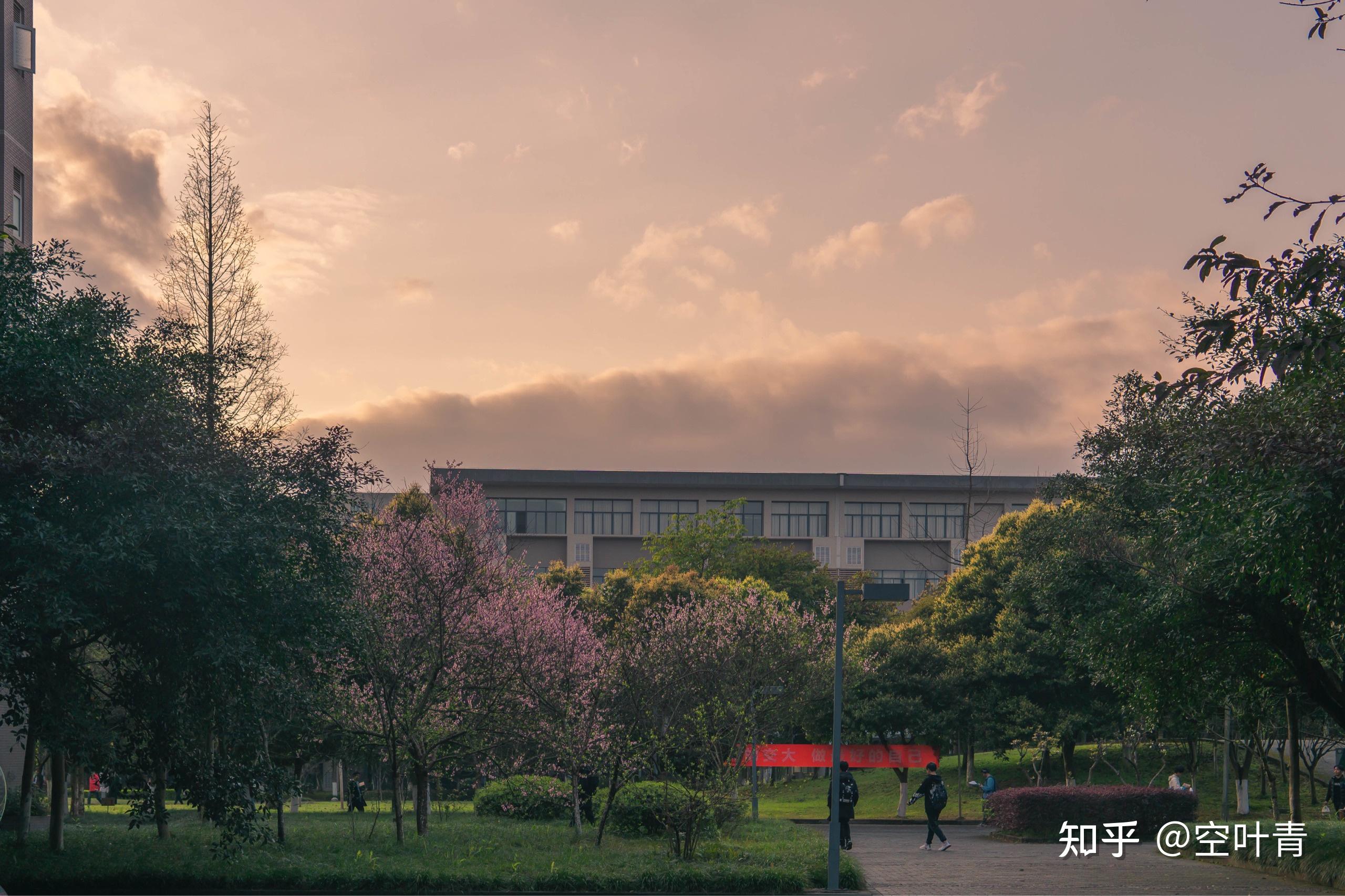 在重庆交通大学就读是什么体验