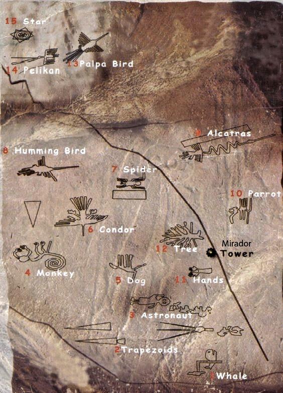 顺道儿说一嘴,你大概听说过纳斯卡线条(nazca lines)吧,同样是叫考古