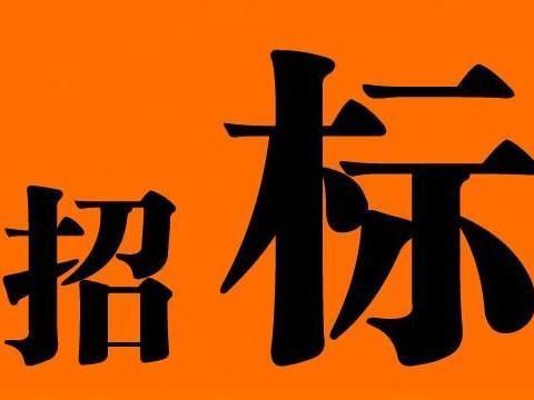 2019这个招投标计划为你量身定做