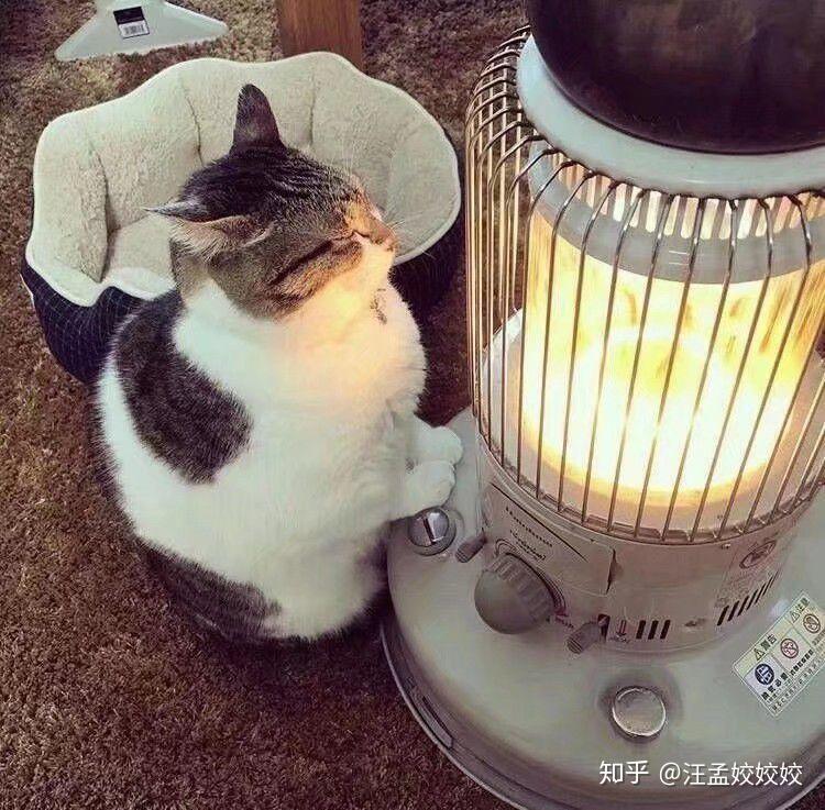 高中女生用高中的略带牌子护肤好,比较油谭克明套装恩施图片