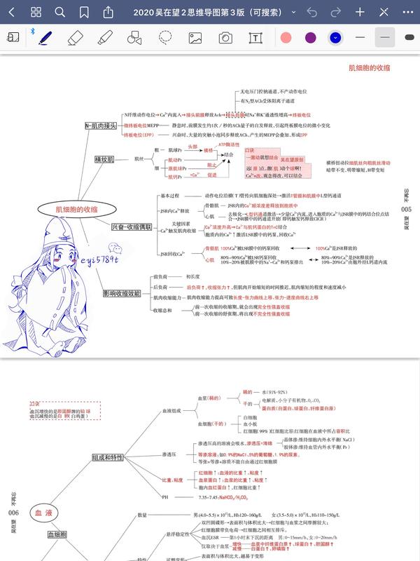 【ipad无纸化学习】goodnotes 2020吴在望2思维导图第