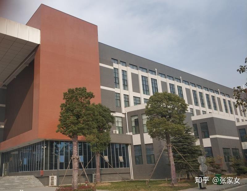 郑州信息科技职业学院就读的你本专业核心课程是什么课程设置如何