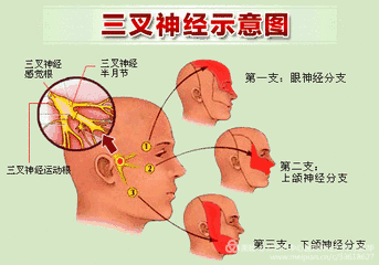 教学图示 343_240 gif 动态图 动图