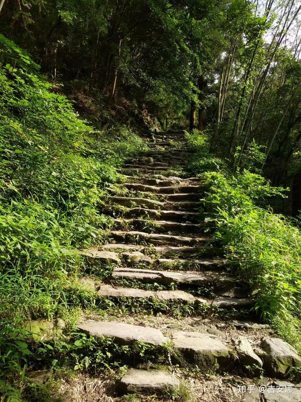 去庐山旅游有哪些好的经验和建议值得分享?