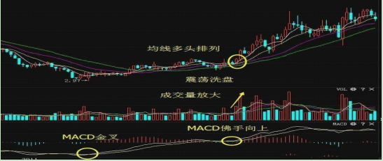 一旦macd出现佛手向上形态坚决捂股坐等主升浪行情精辟