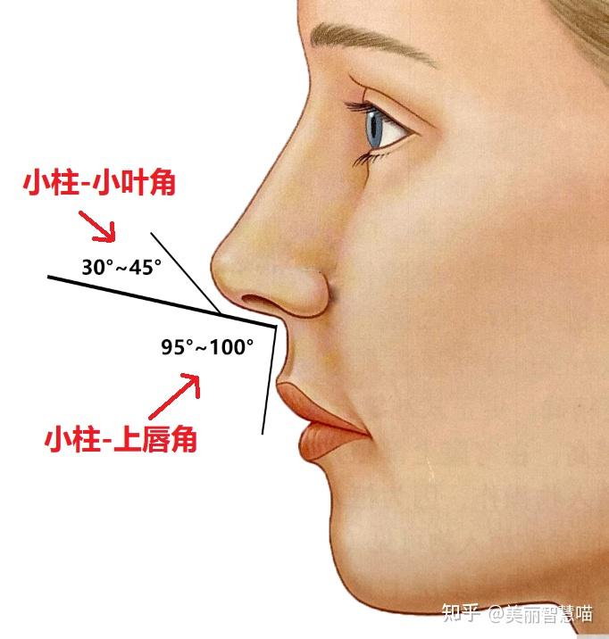 干货隆鼻前必须知道的鼻尖形态审美细节