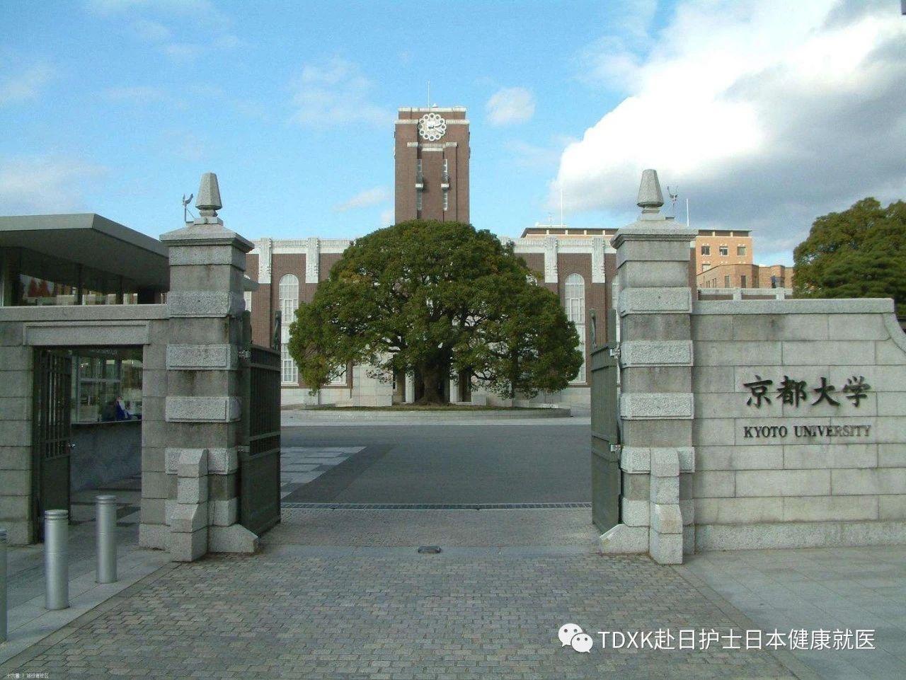 1位「东京大学」 2位「筑波大学」  3位「大阪大学」  4位「东北大学