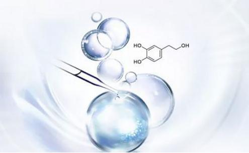 纳米脂质体包裹羟基酪醇橄榄叶提取物nanoliposomalhydroxytyrosol