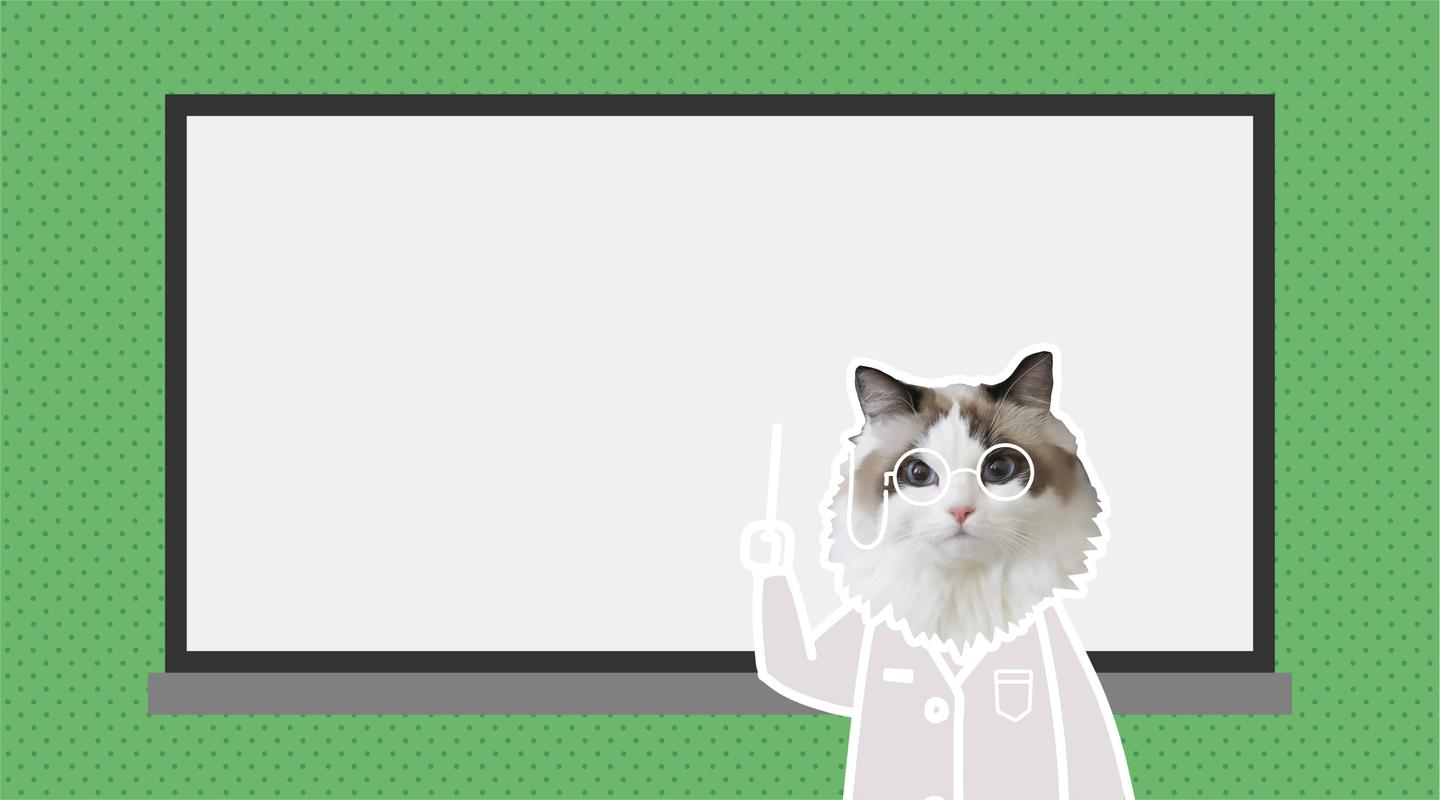 有鱼课堂|猫咪究竟需要多少蛋白质?