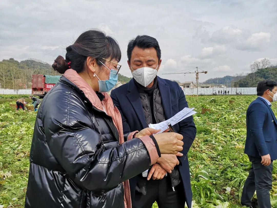 新鲜武侯牵手大邑菜地下单商超供应这些地方可购买爱心蔬菜