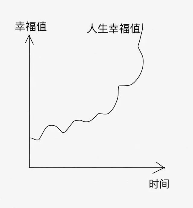 如果把幸福值总数看作一条曲线的话,它应该是一根虽然有起伏波动,但