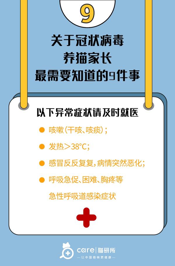 关于冠状病毒,养猫家长最需要知道的9件事