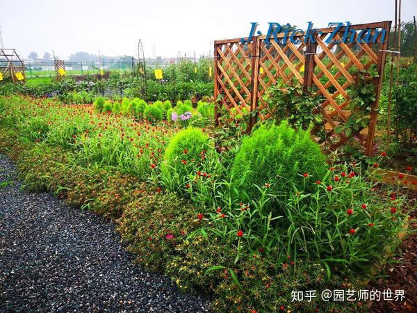 蔬菜花园将重新定义可食用景观造景篇