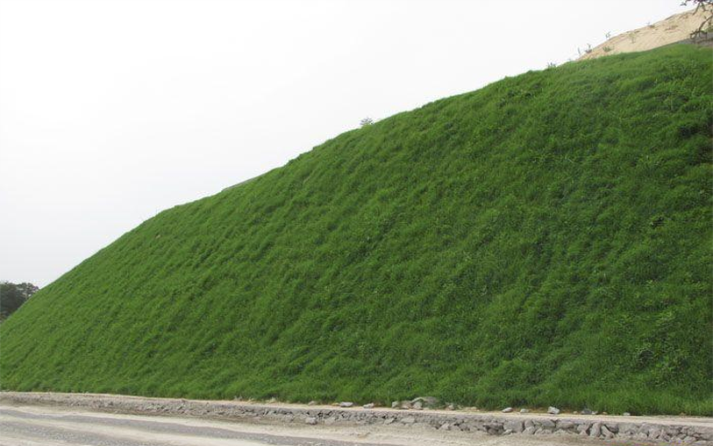 护坡绿化矿山恢复绿适用哪些边坡斜坡绿化草种呢