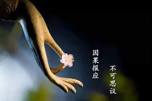 弟弟是家里最帅气聪明的孩子可最后却死无全尸难道是因这事