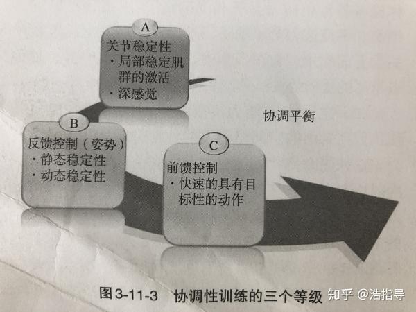 a级:关节的稳定性(局部稳定肌群的激活/深感觉/本体感觉训练)