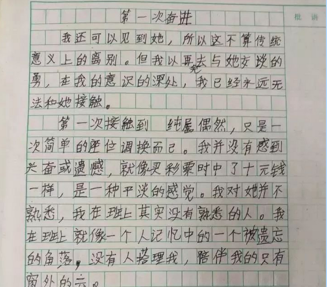 她是我的光小学生作文走红网友是我无法企及的文笔