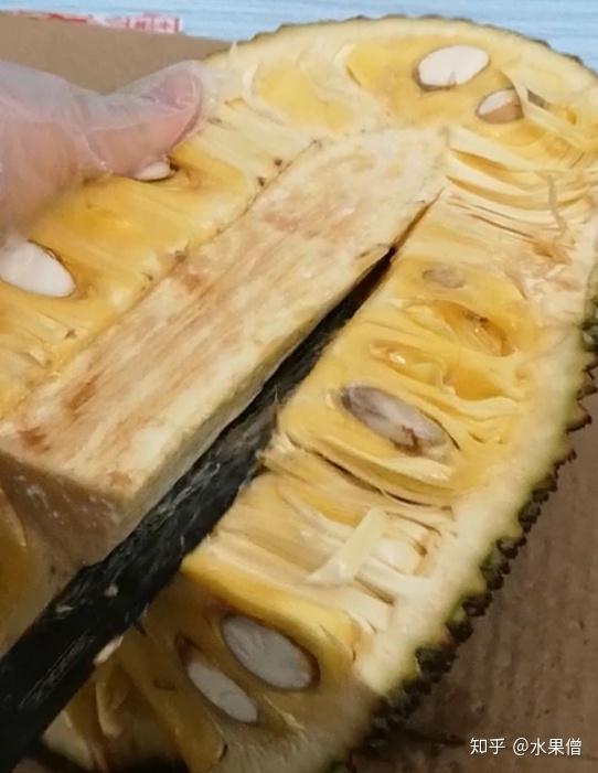 避免流在果肉上面了 3,对半切开后在横向切开 半个菠萝蜜就出了一大盘