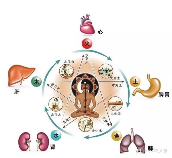 "筋长一寸,寿延十年"?正确的拉筋姿势在这里