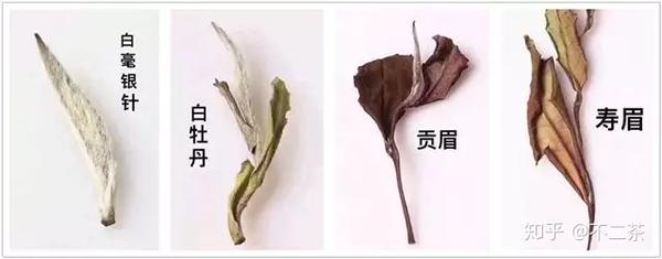 白茶等级从高到低,依次为白毫银针,白牡丹,贡眉,寿眉,市面上一般人们