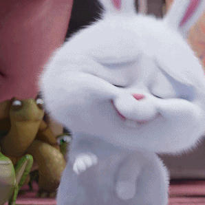 爱宠大机密表情包合集(史上最全版)