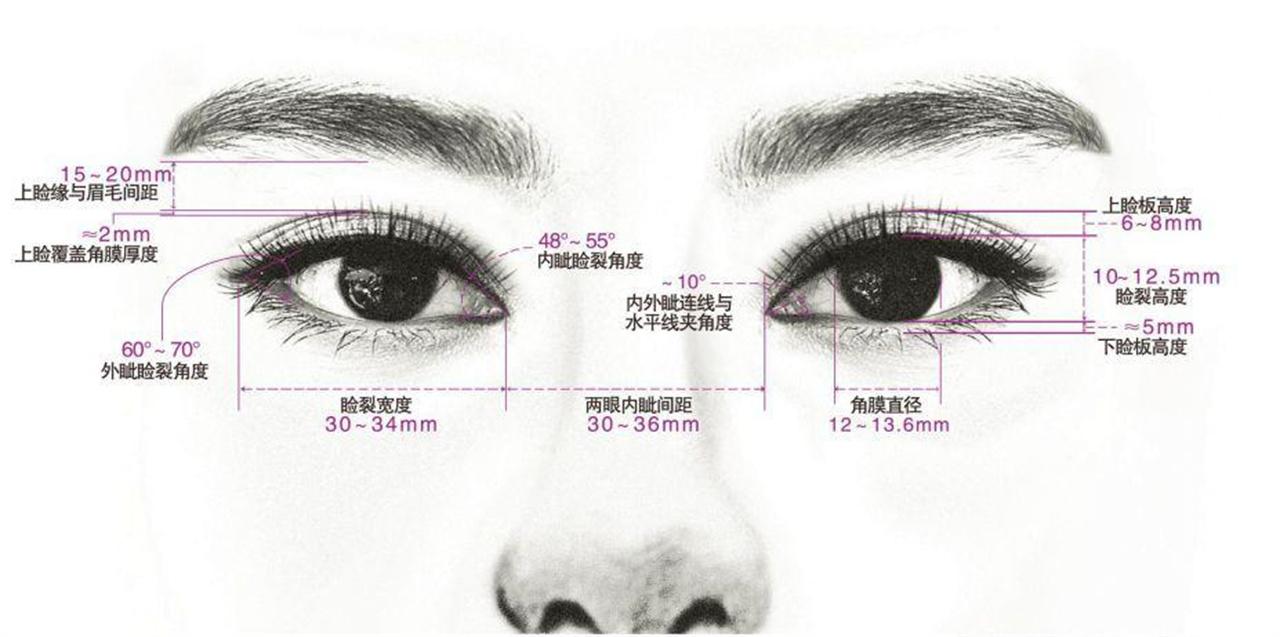 范芳医生谈东方女性眼部美学标准