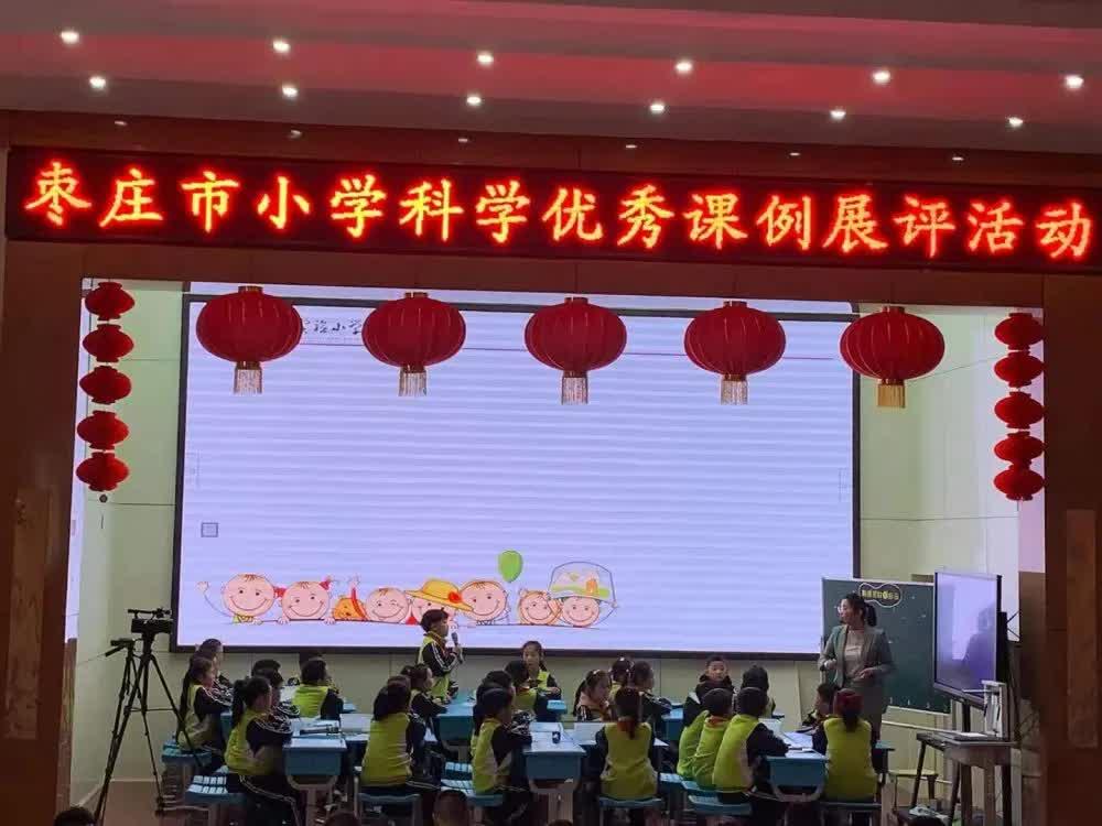 枣庄市实验小学在全市优质课评比中喜获佳绩