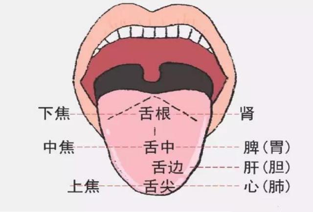 孩子有没有上火的奥秘,舌头舌苔一望便知,教你小儿推拿解决之道