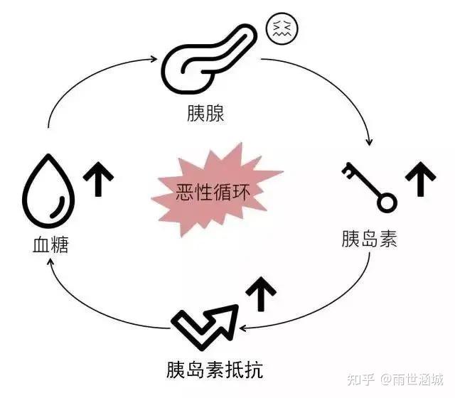 以至于身体必须释放越来越多的胰岛素来应付激增的血糖