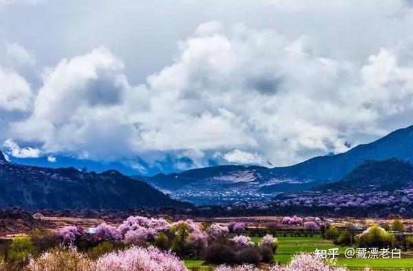 一生一定要去看的风景,西藏的一切都令人如此神往