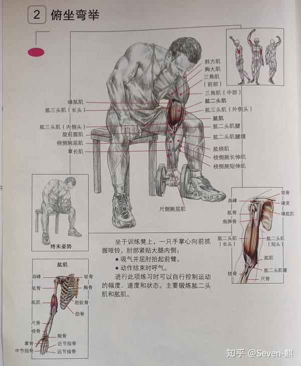 肌肉健美训练图解