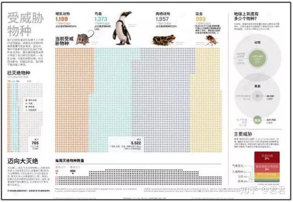 联合国2019年5月发布的一份报告指出, 物种正以一种可怕的速度灭绝.