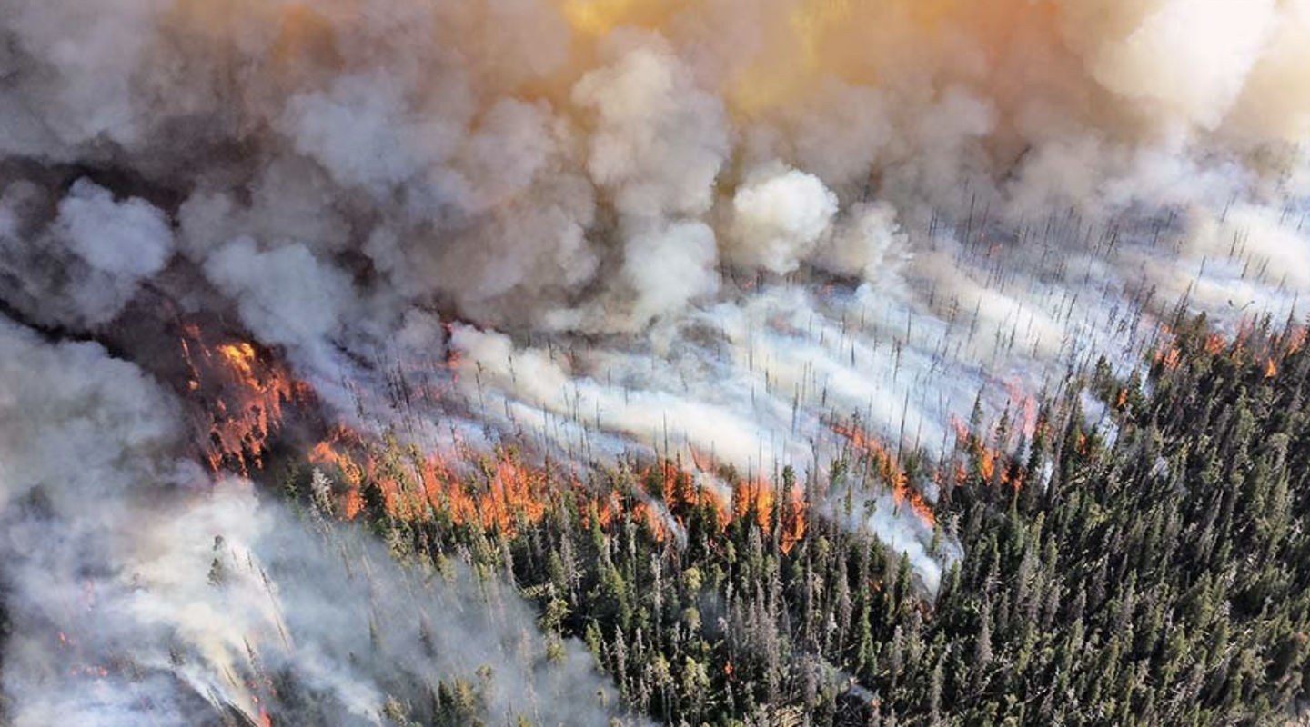 人在北美面对森林大火带来的空气污染该如何保护自己