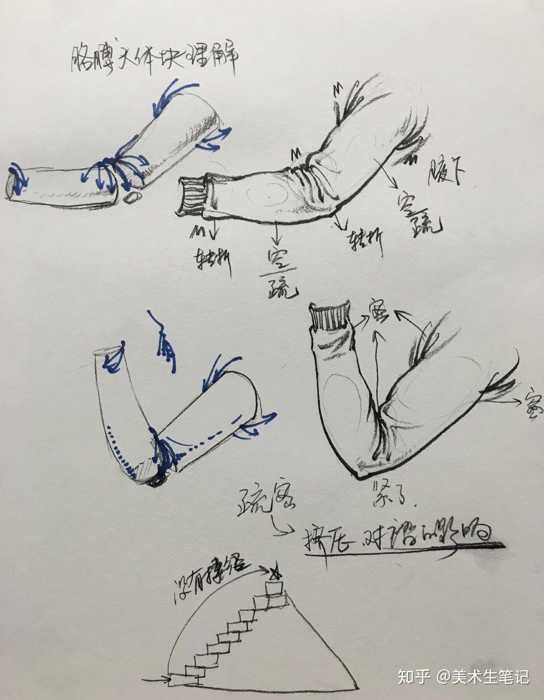 速写局部教学笔记参考