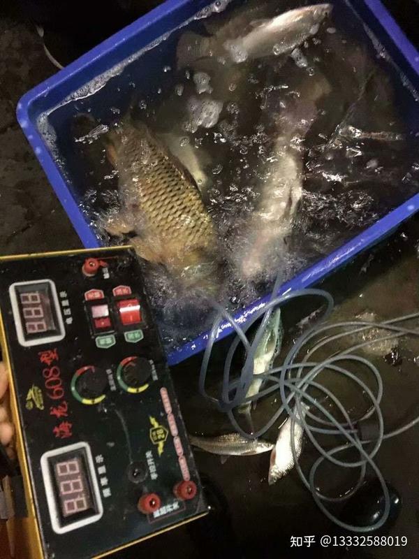 三相发电机电鱼后级,220v深水大功率后级吸鱼机