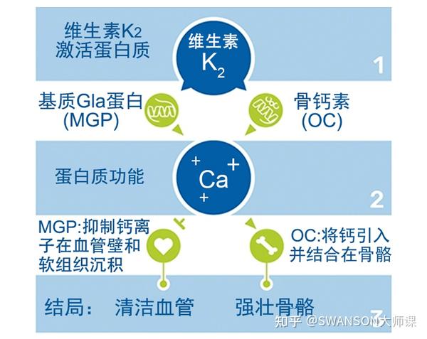 维生素k2骨骼和心脏健康的黄金营养素