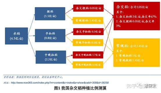 从"三系杂交稻"到"二系法"杂交水稻的成功培育,到超级稻,再到"一系法"