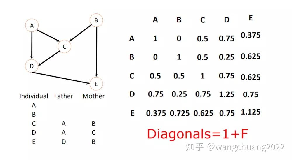 全基因组关联分析GWAS 知乎