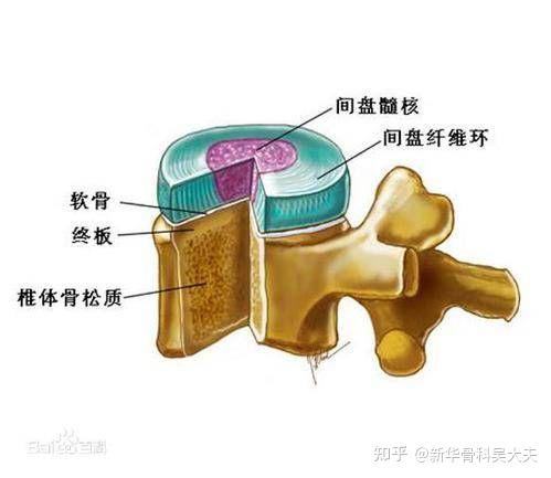 终板炎通过手术可以彻底根治吗