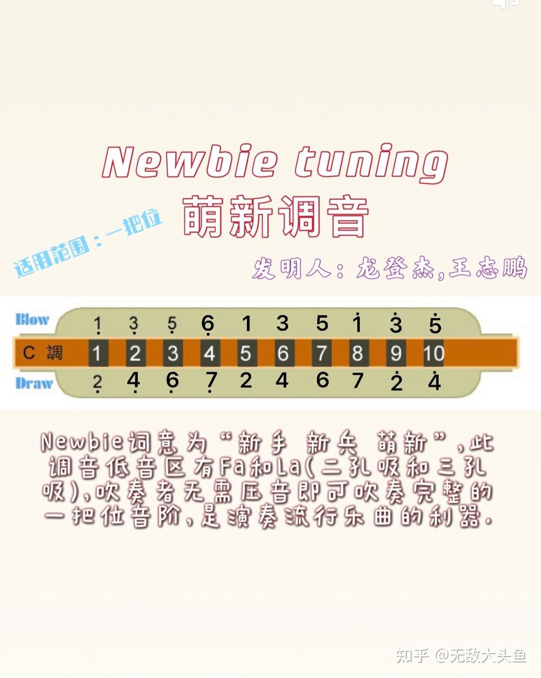 龙登杰的在抖音卖的newbie调音口琴怎么样没有基础的小白可以买这个学