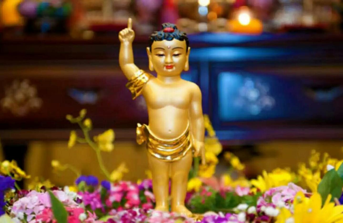 首发于 随喜赞叹 #佛教常识# #学佛善文化#释迦牟尼,是我们这个娑婆