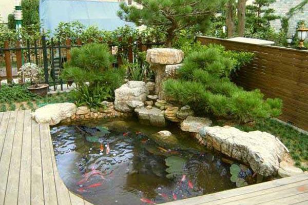庭院鱼池景观有哪些不同的风格?