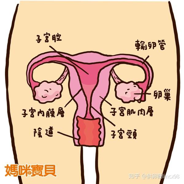宫腔粘连对怀孕有多少影响?