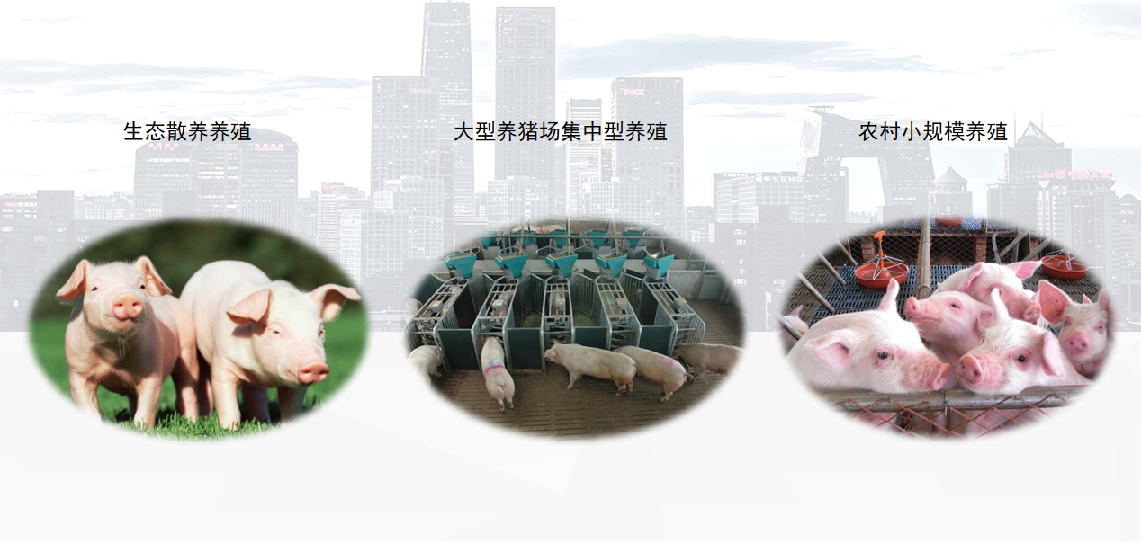 智慧养猪解决方案